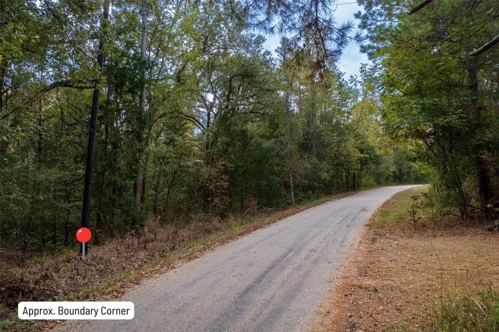 44.65 acres in Camp County featured view