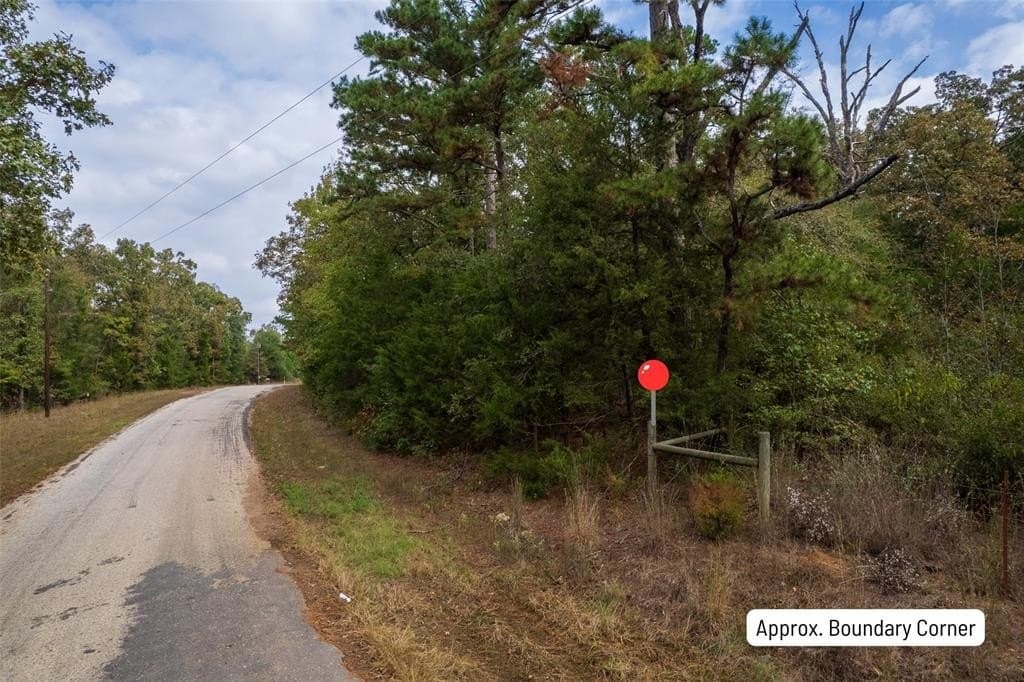 44.65 acres in Camp County gallery image 4