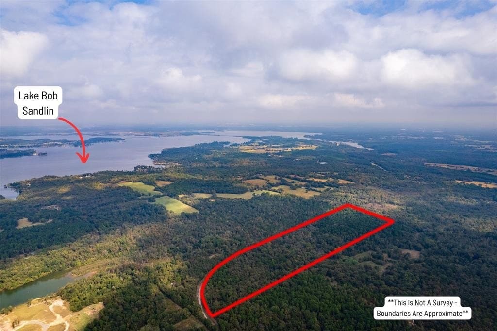 44.65 acres in Camp County gallery image 2