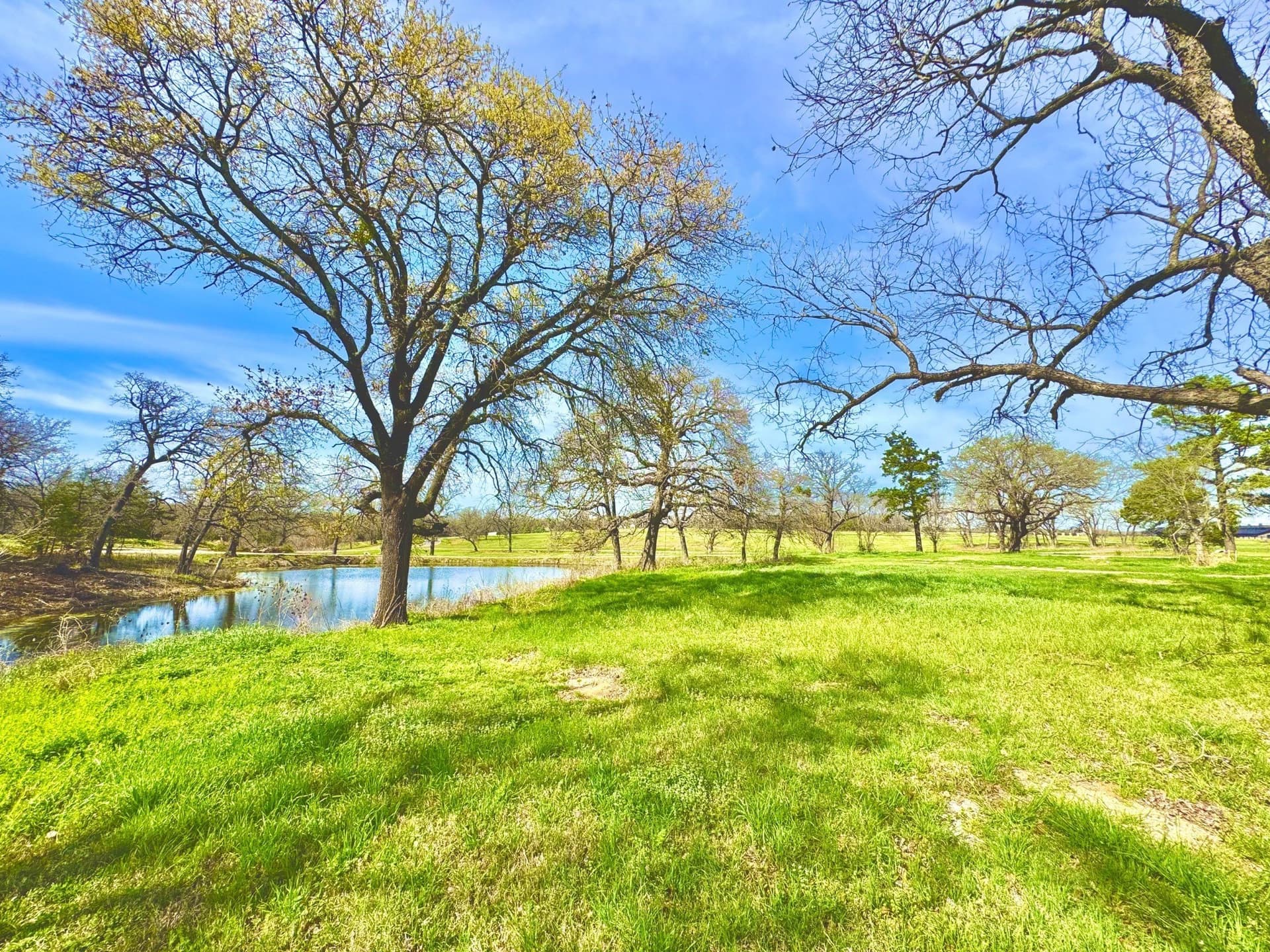 0.29 acres in Grayson County - photo 10