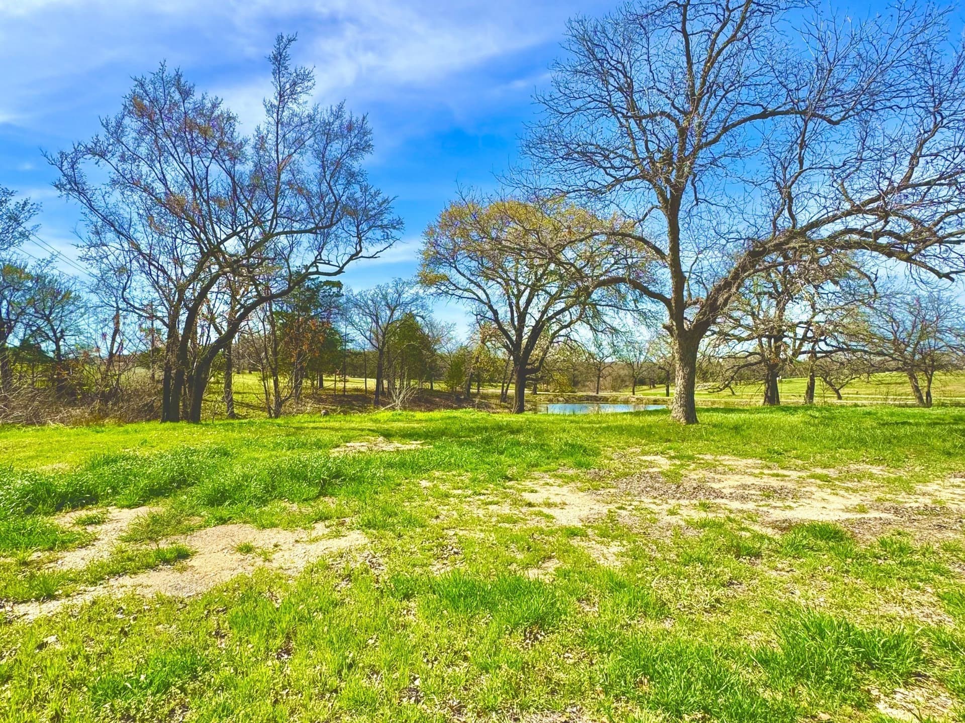 0.29 acres in Grayson County - photo 8