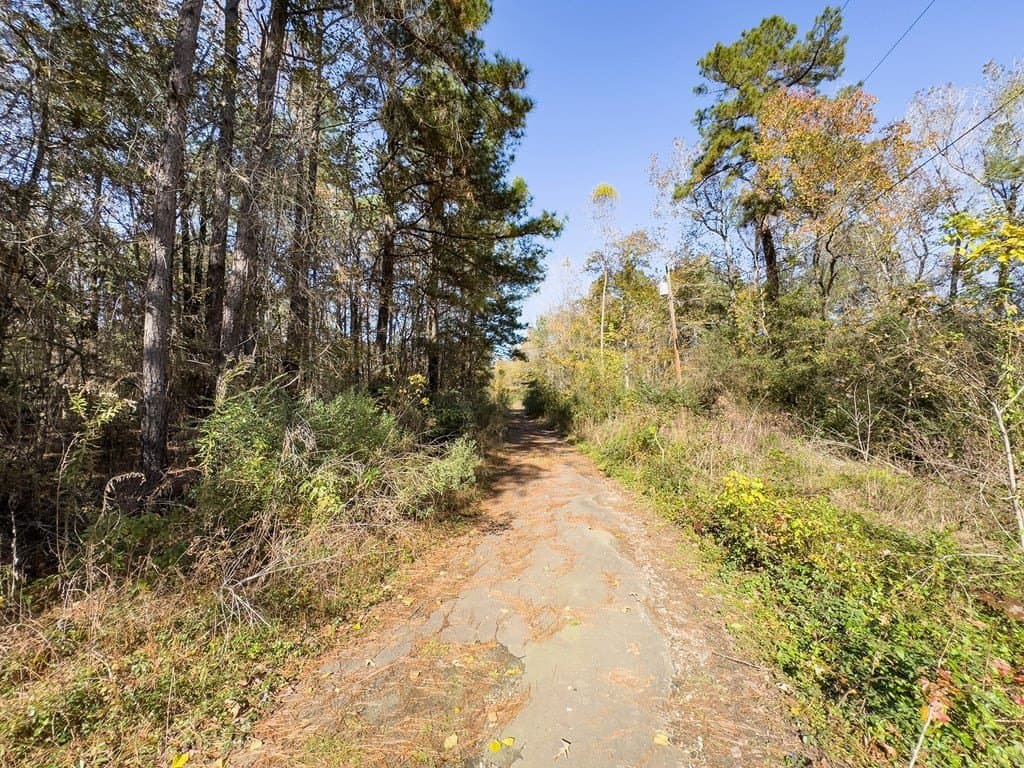 0.2 acres in Texas County featured view