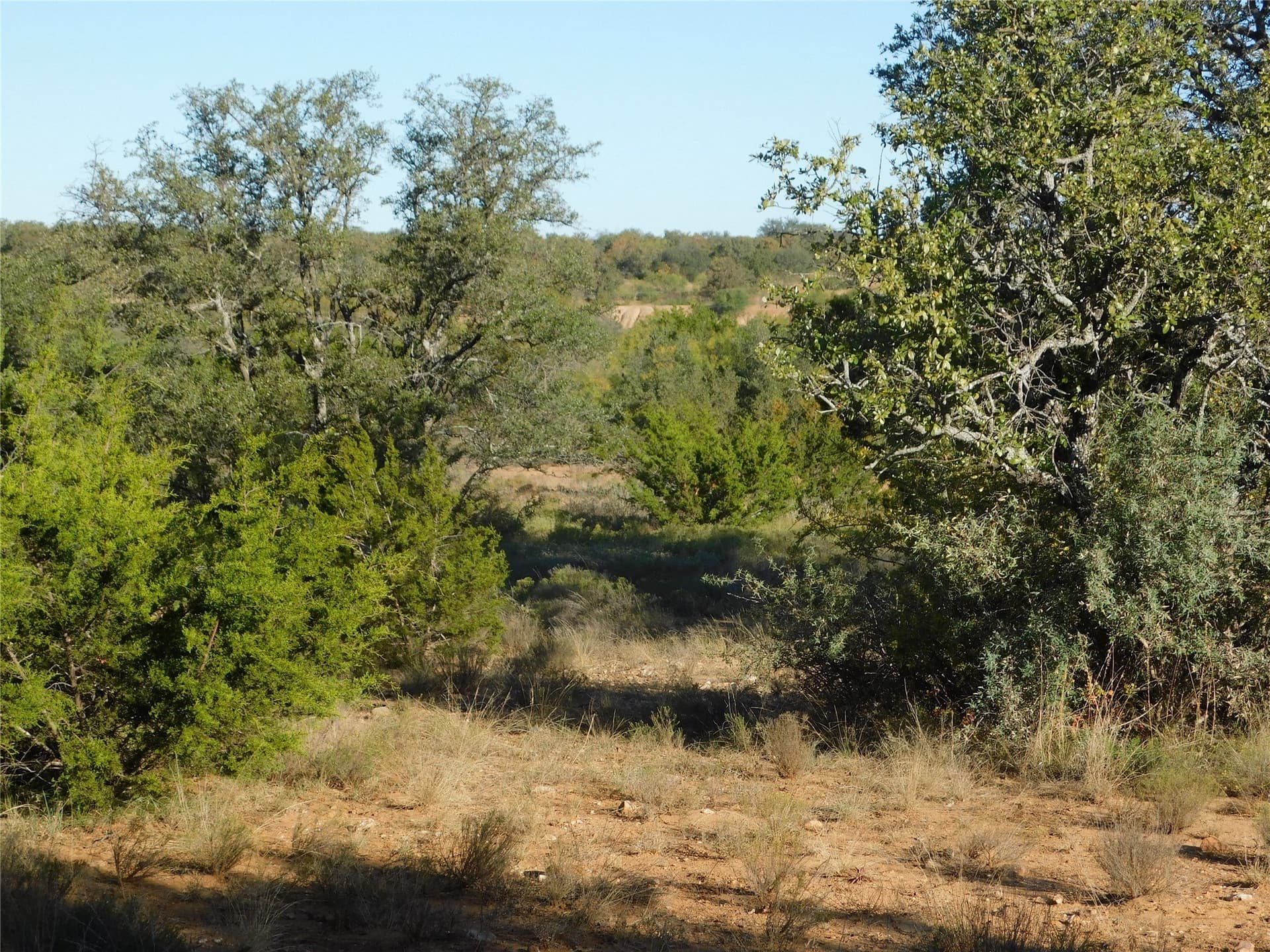 38.02 acres in Brown County - photo 9