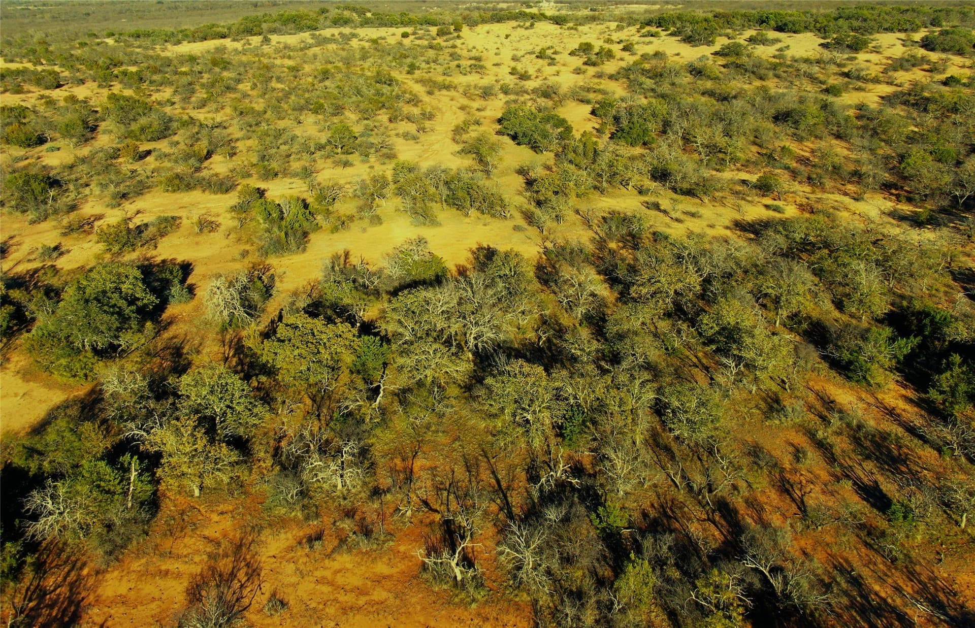 38.02 acres in Brown County - photo 18