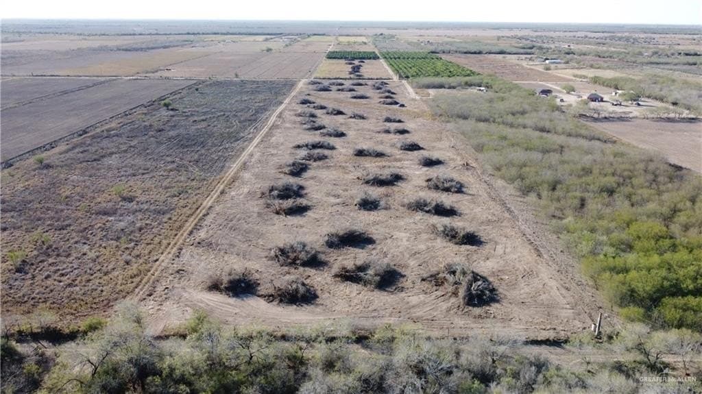 10 acres in Hidalgo County gallery image 4