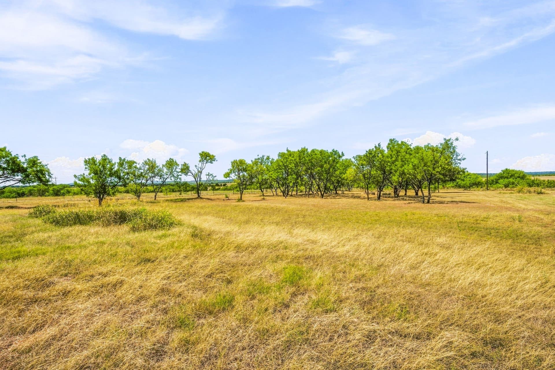 11.86 acres in Young County - photo 28