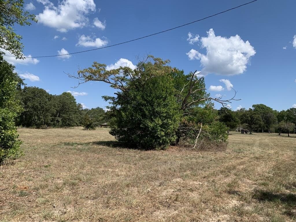 2.31 acres in Henderson County - photo 4