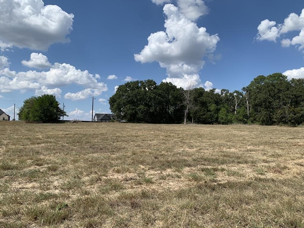 2.31 acres in Henderson County - photo 6