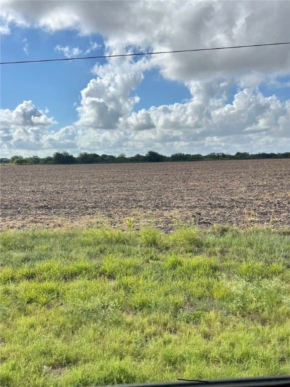 42 acres in San Patricio County gallery image 2