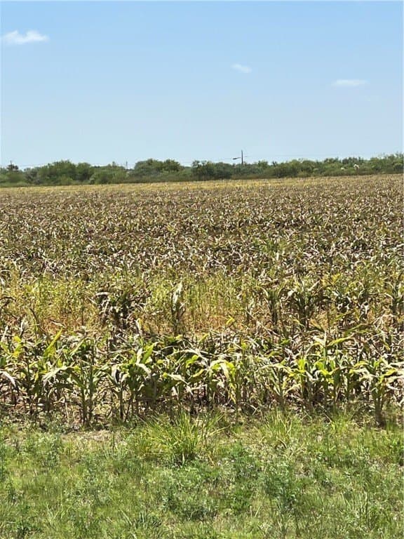 42 acres in San Patricio County
