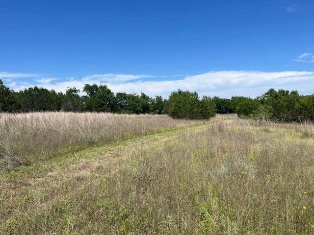 66.66 acres in Hamilton County gallery image 4