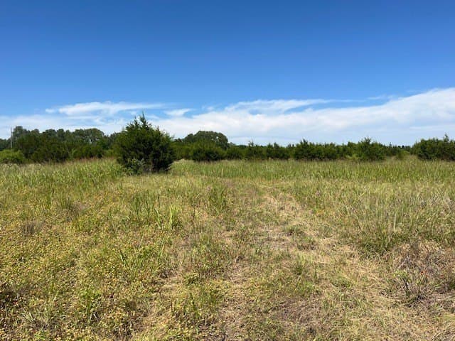 66.66 acres in Hamilton County gallery image 2