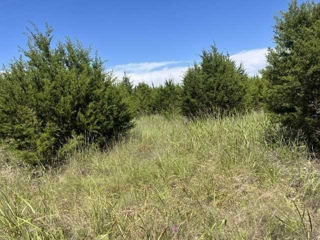 66.66 acres in Hamilton County gallery image 3