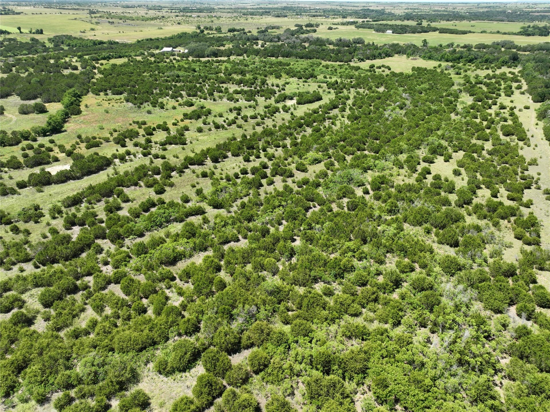 66.66 acres in Hamilton County - photo 36