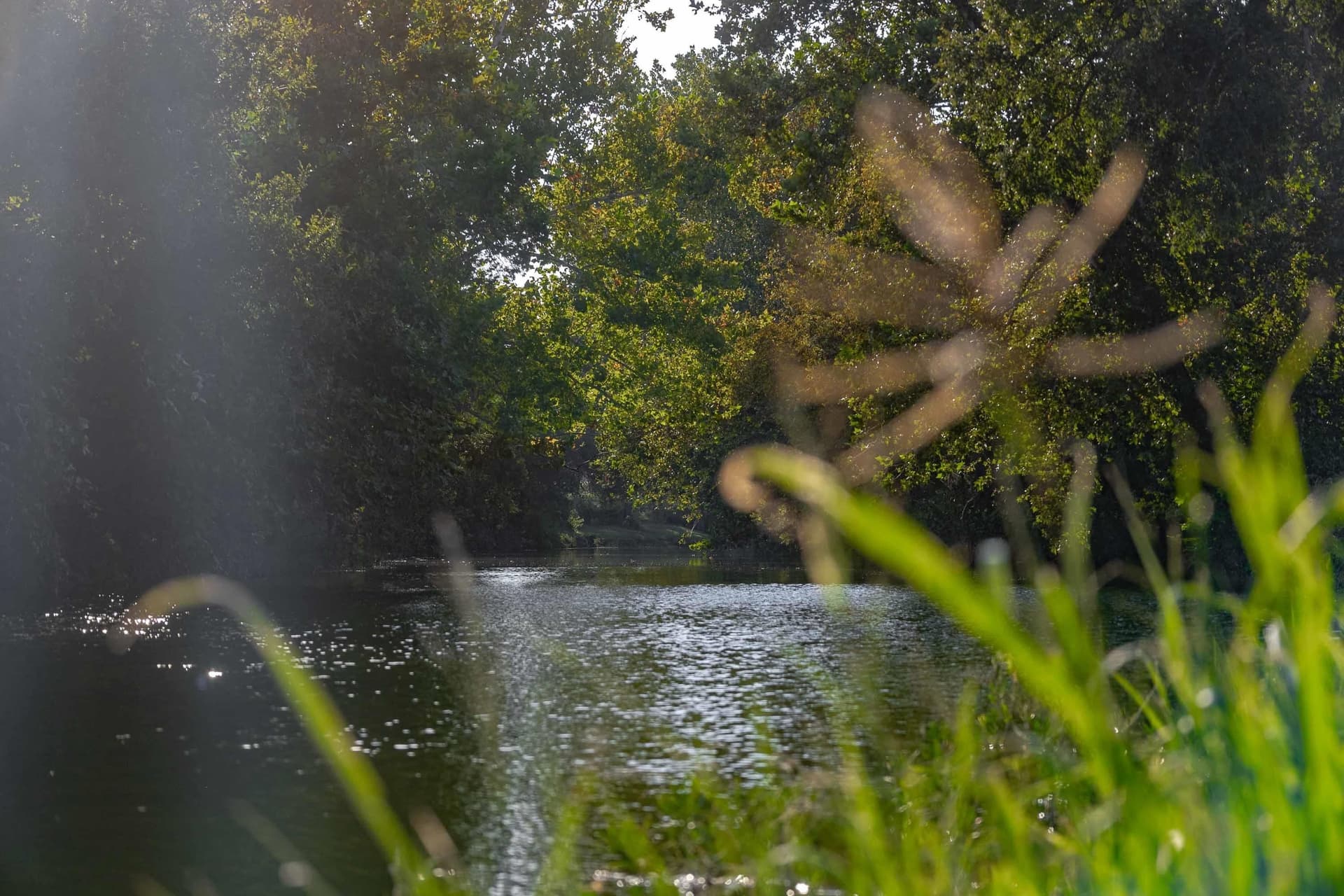400.31 acres in Lampasas County gallery image 4