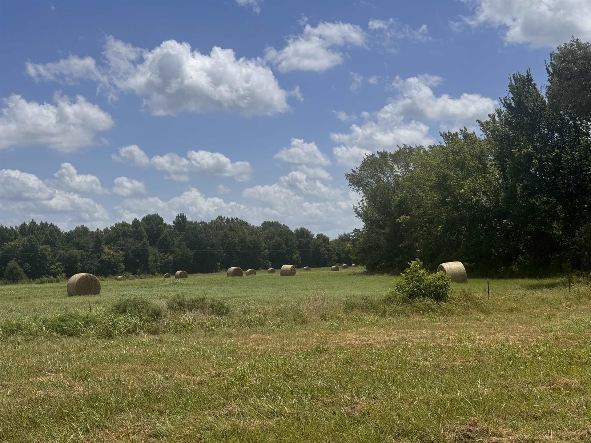 2.5 acres in Camp County gallery image 2