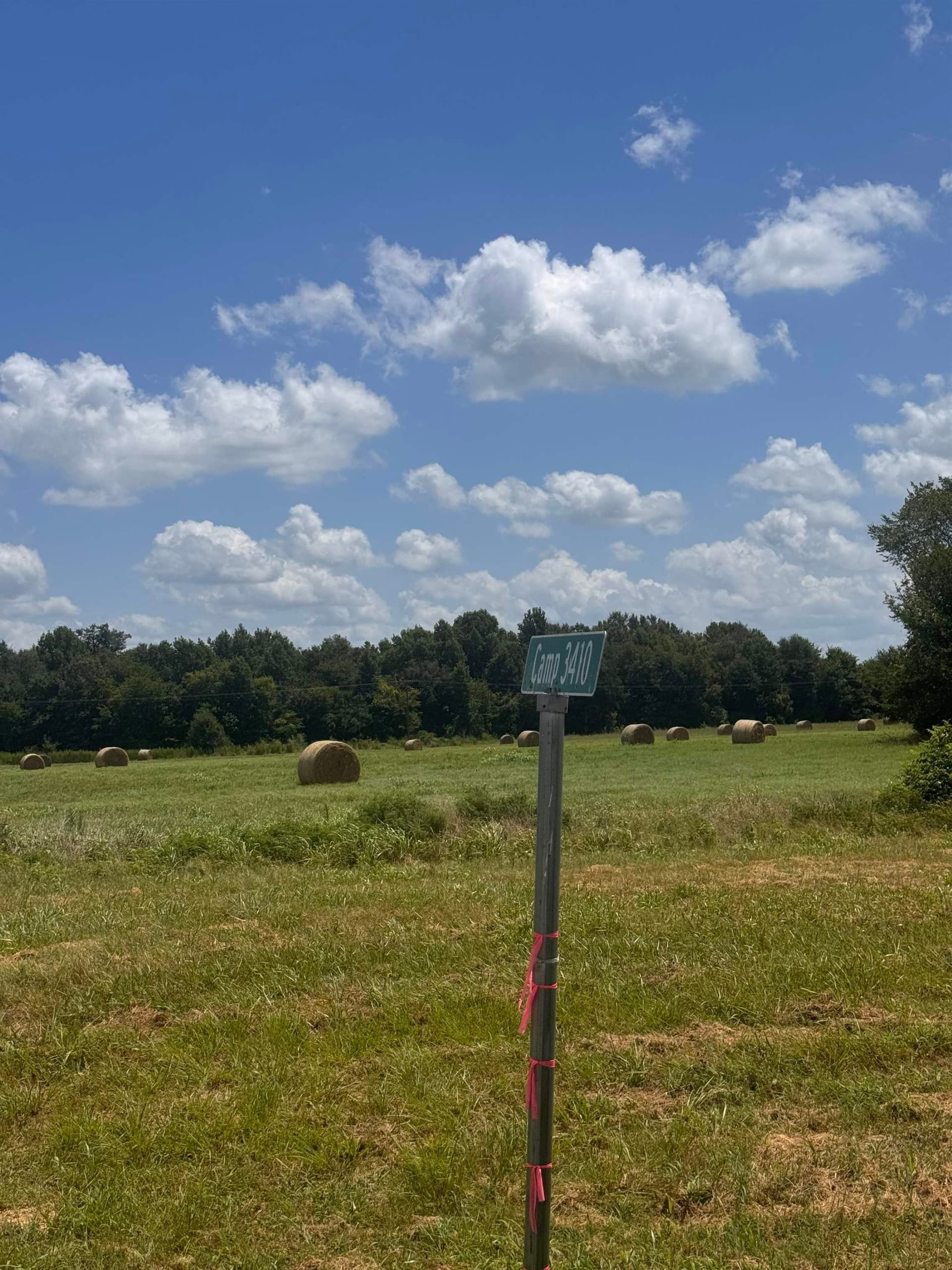 2.5 acres in Camp County gallery image 4