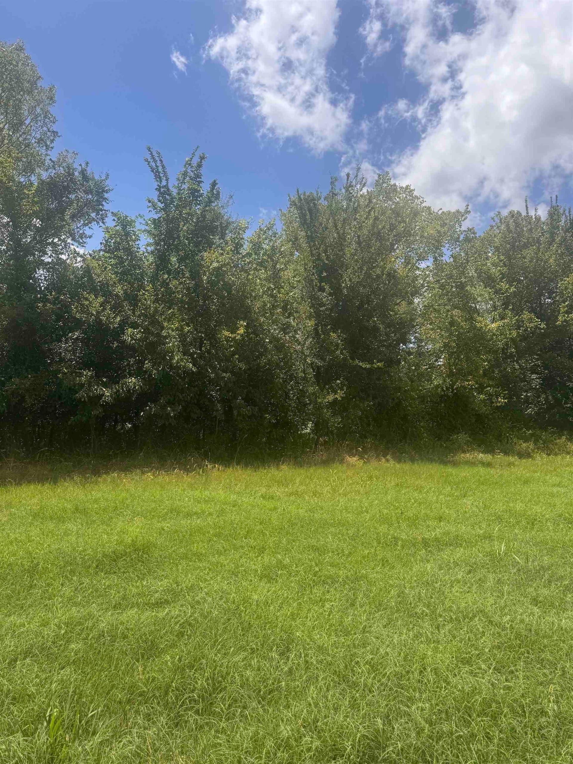 2.5 acres in Camp County featured view