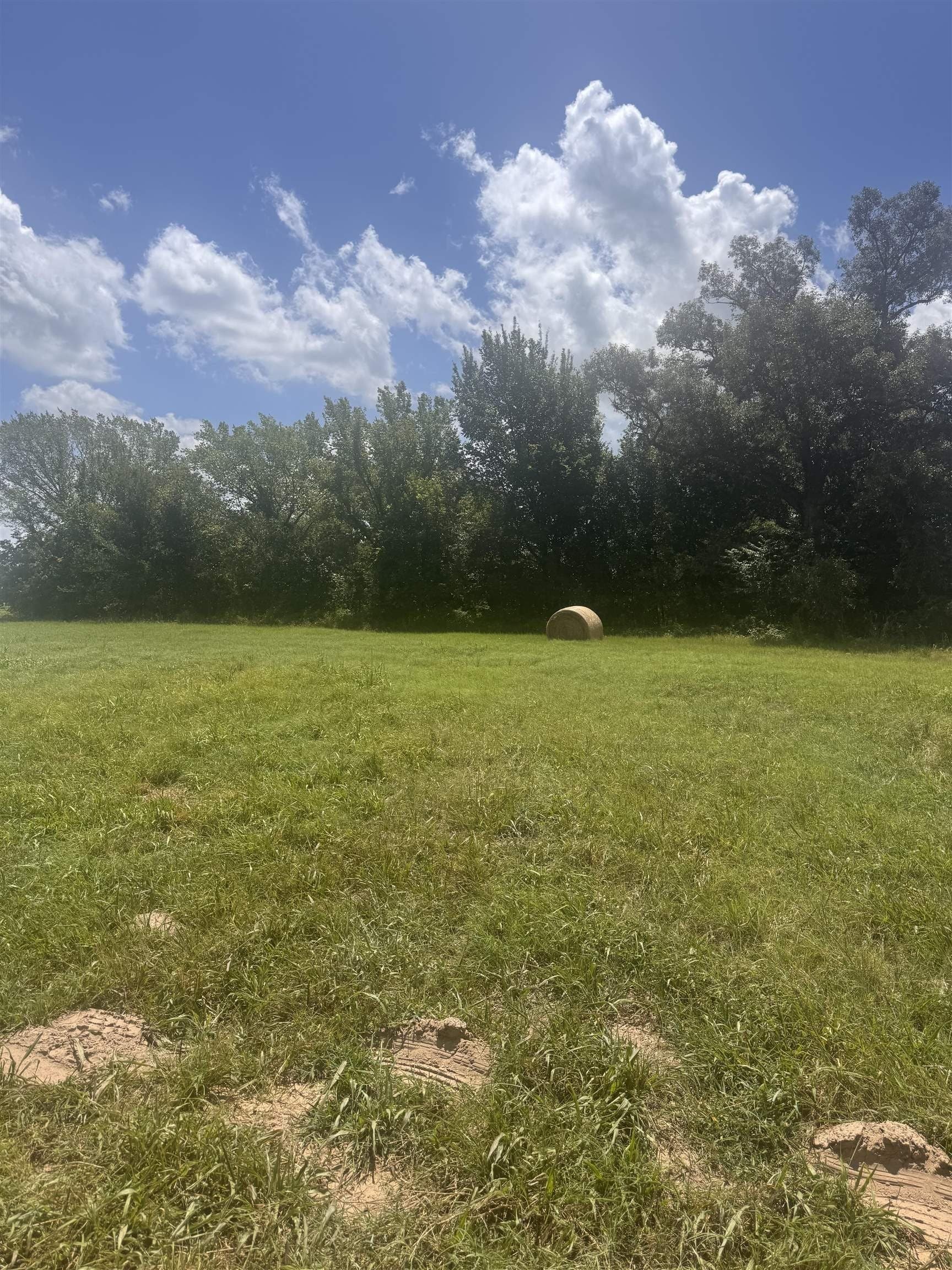 2.5 acres in Camp County