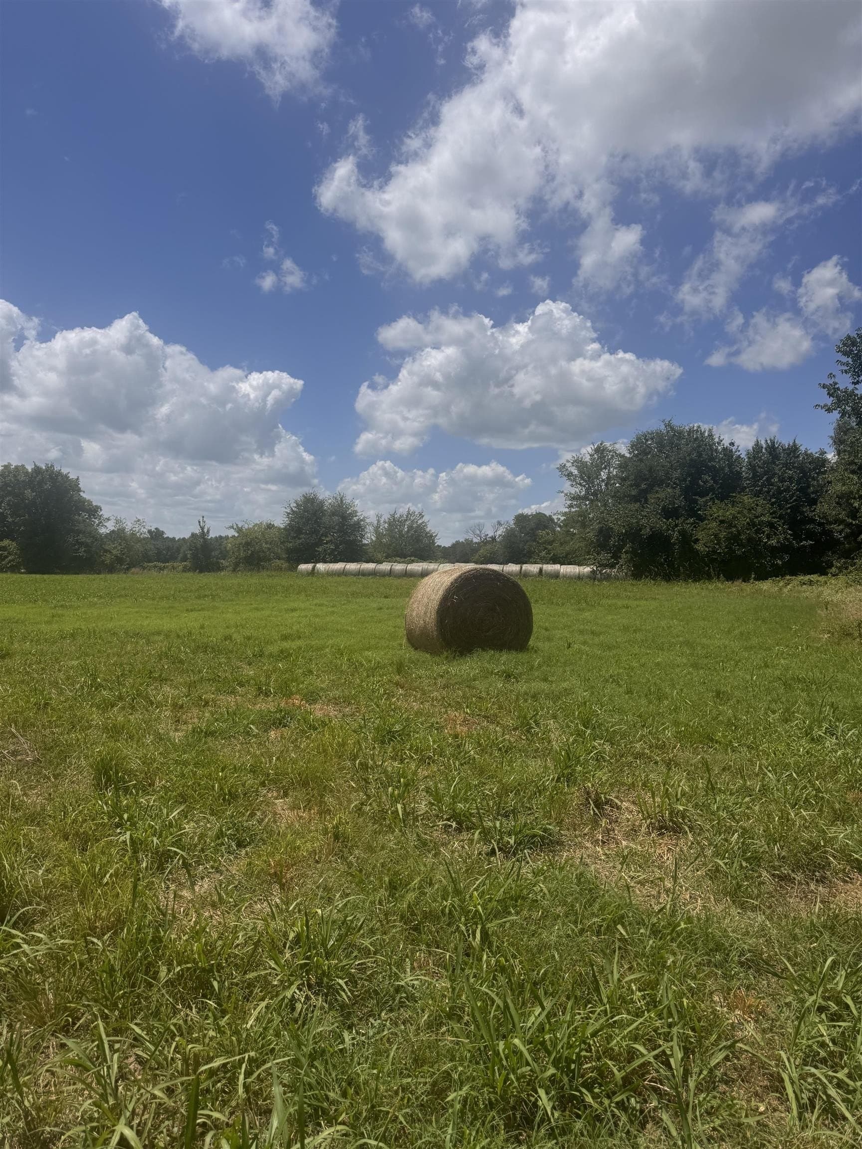2.5 acres in Camp County - photo 6