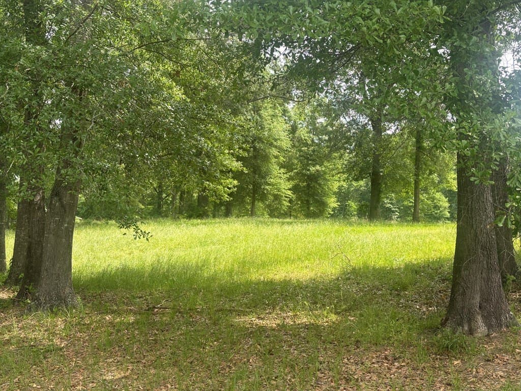 3 acres in Texas County featured view