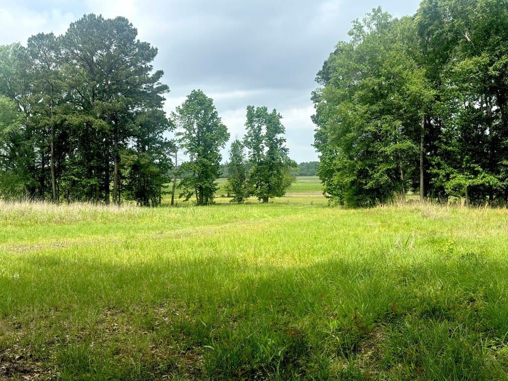 3 acres in Texas County gallery image 4