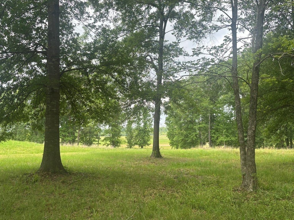 3 acres in Texas County gallery image 3