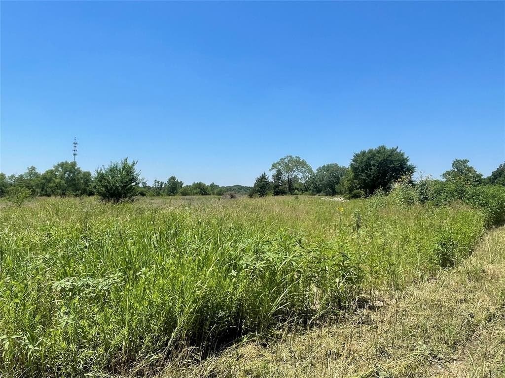 82.33 acres in Grayson County gallery image 4