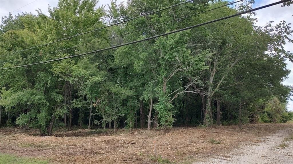 82.33 acres in Grayson County gallery image 2