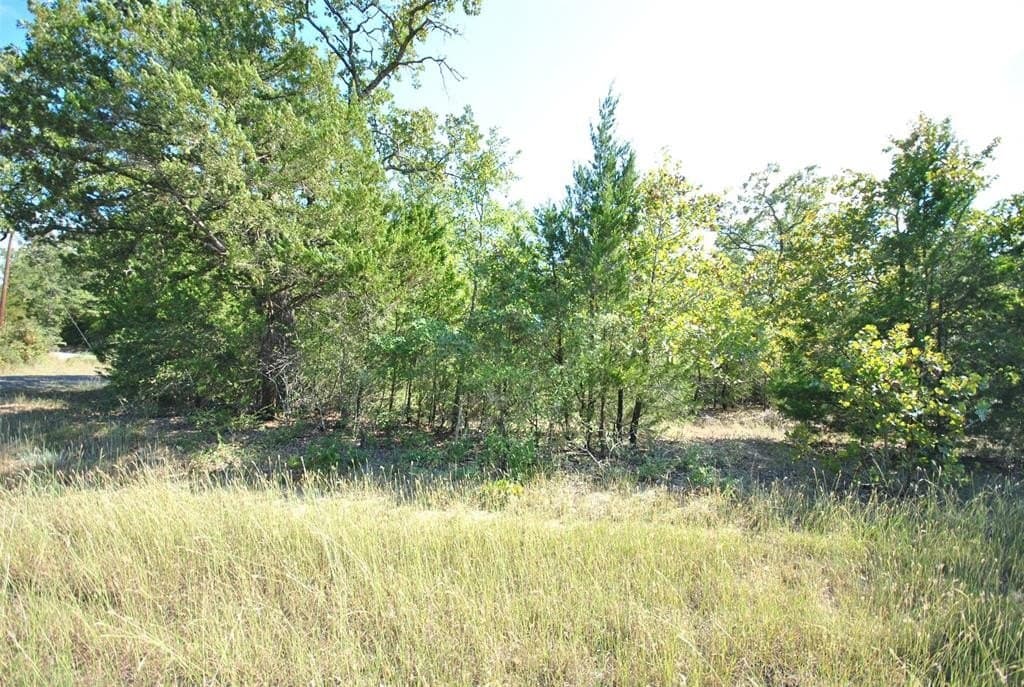 0.74 acres in Limestone County gallery image 3