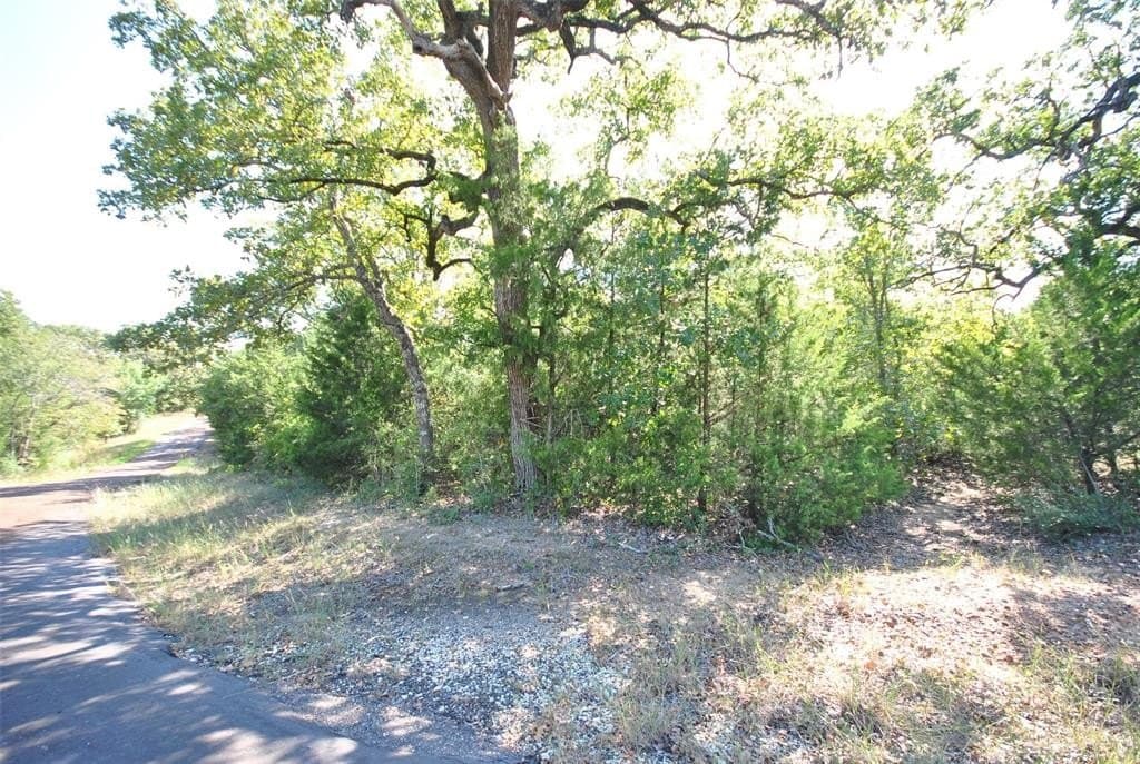 0.74 acres in Limestone County featured view