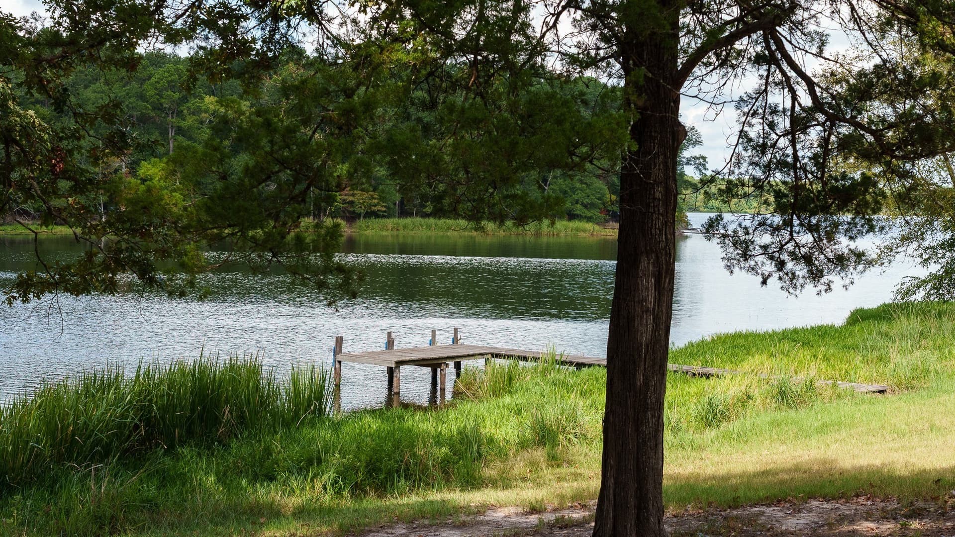 3.08 acres in Smith County - photo 22