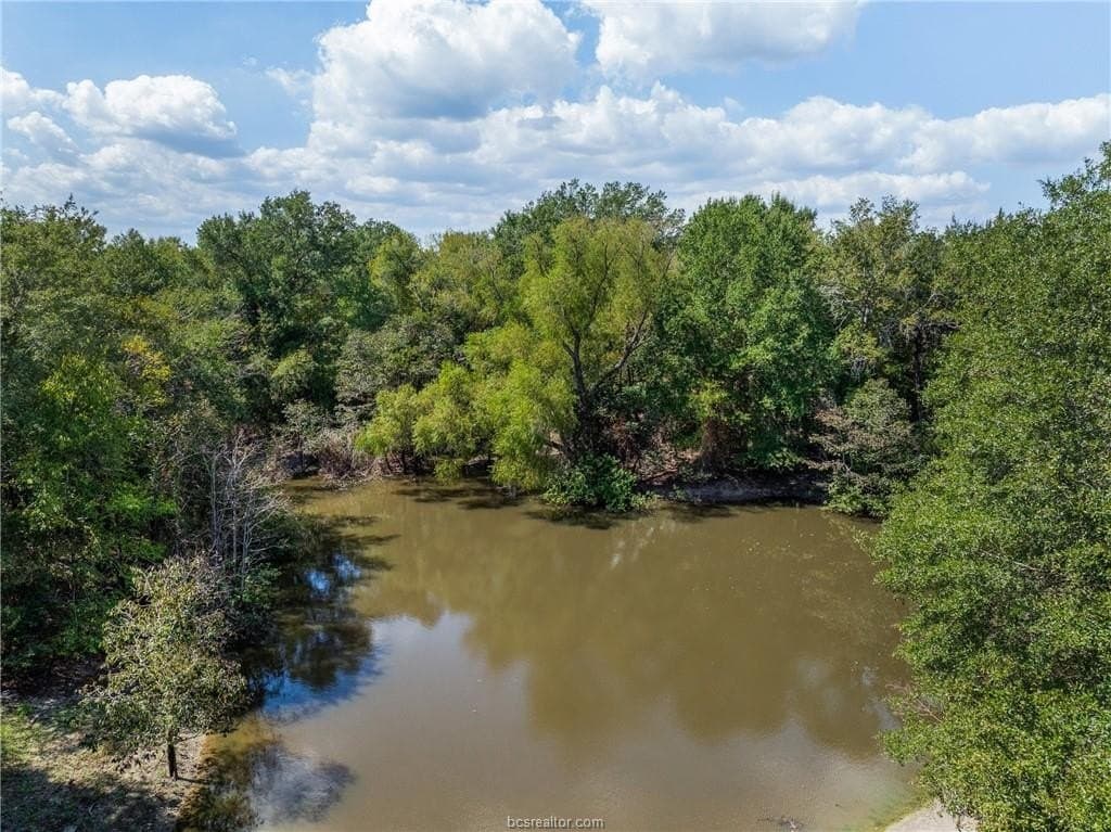 38.66 acres in Robertson County