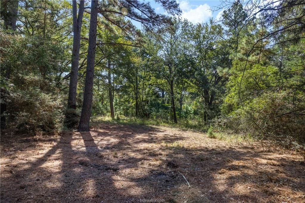 38.66 acres in Robertson County featured view