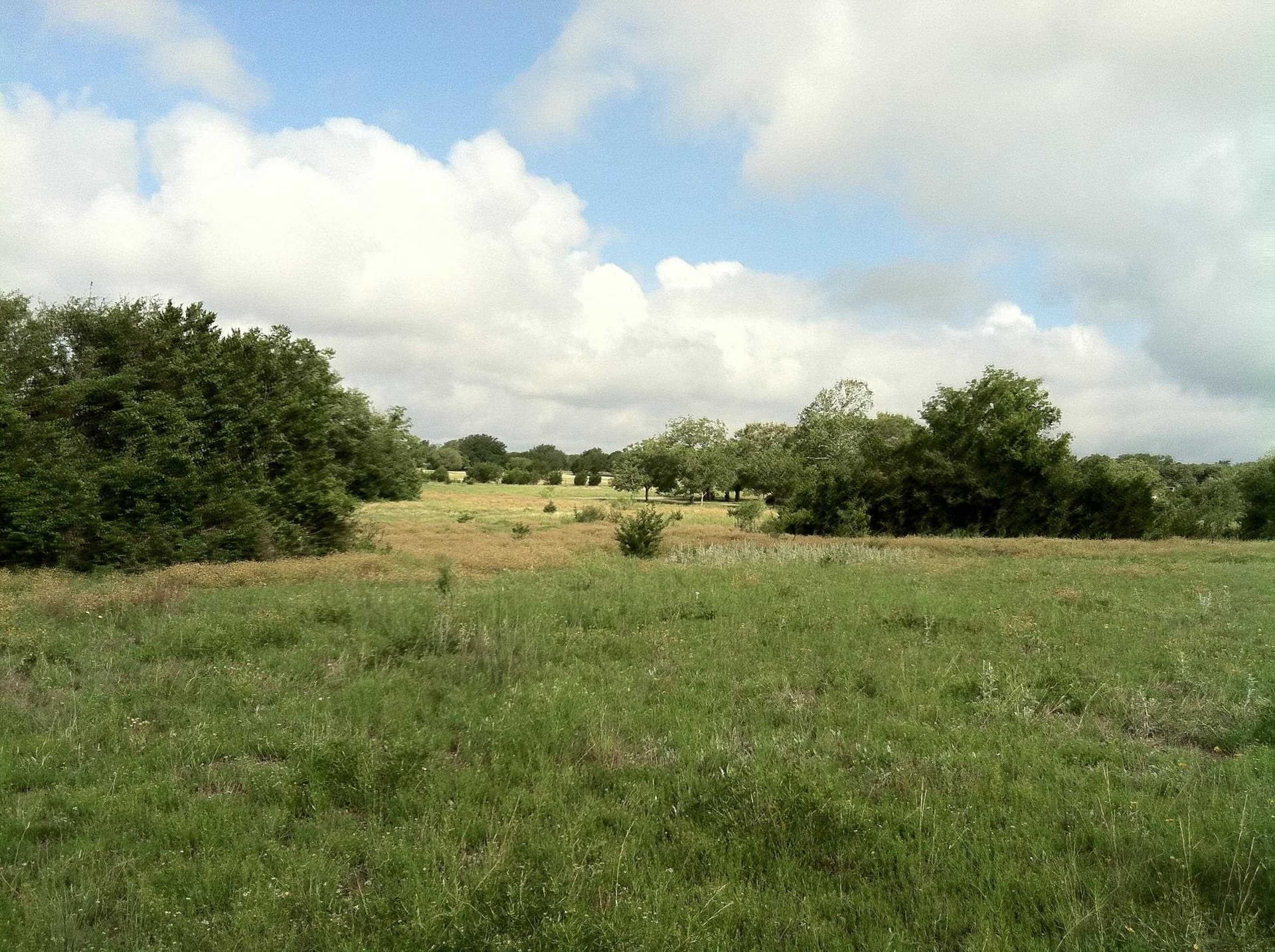 17.8 acres in Burnet County gallery image 4