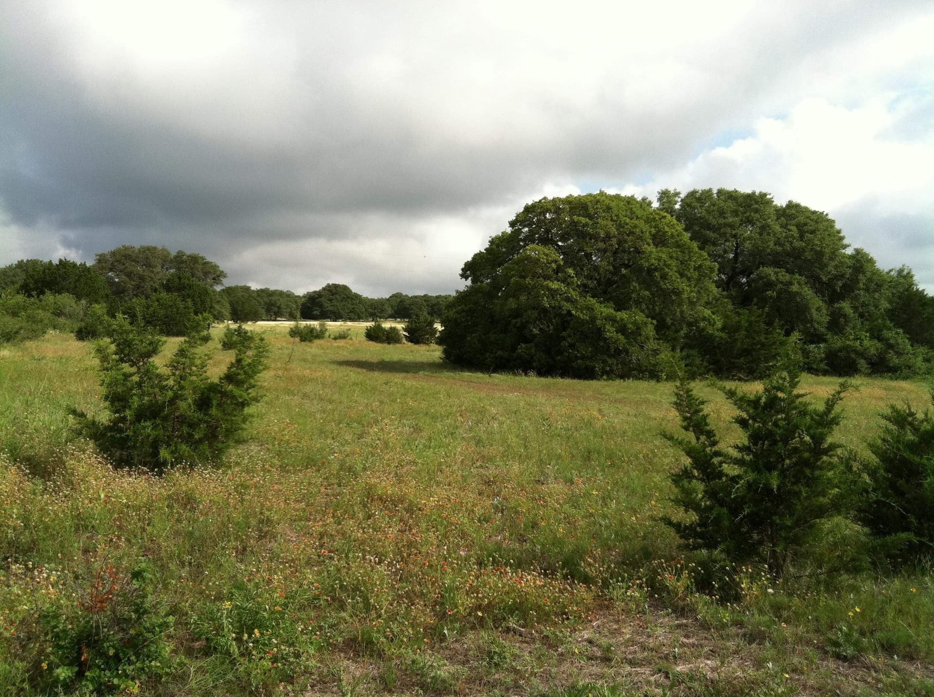 17.8 acres in Burnet County gallery image 2