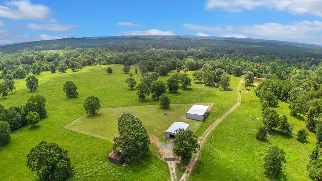 55 acres in Texas County gallery image 3