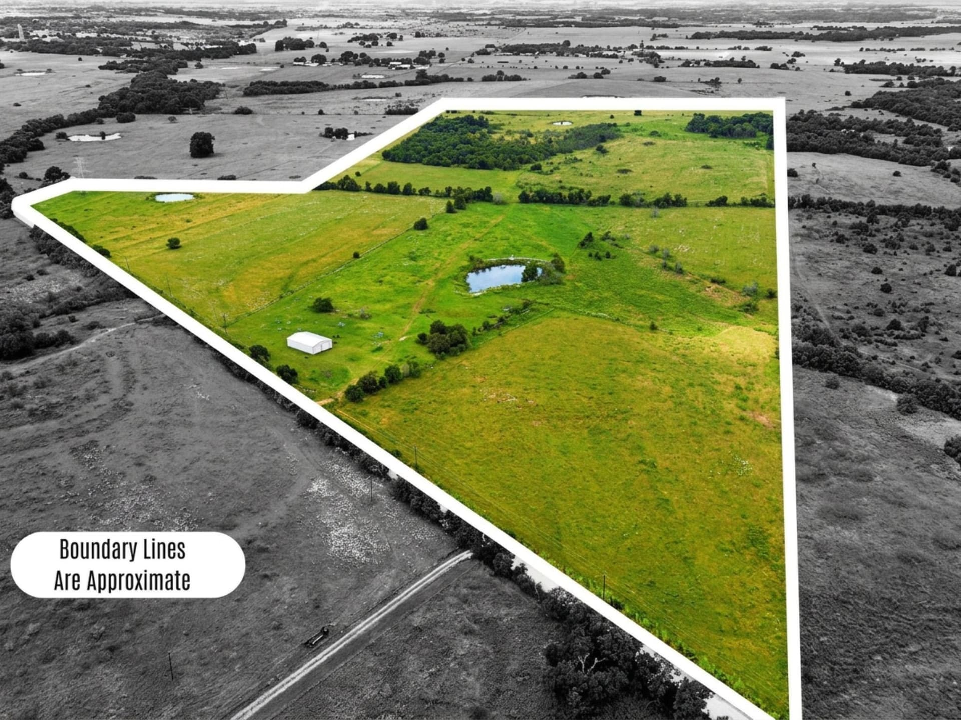 101 acres in Navarro County gallery image 4