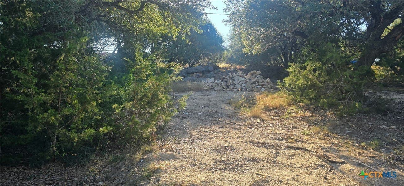 0.23 acres in Comal County gallery image 3