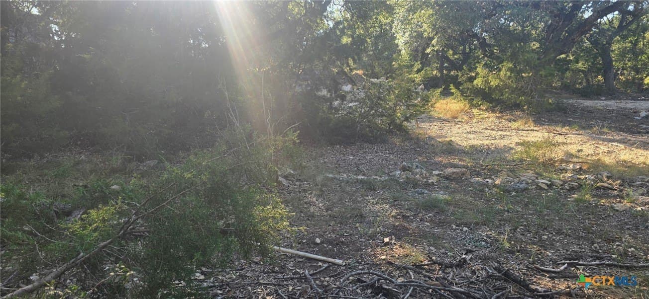 0.23 acres in Comal County gallery image 4