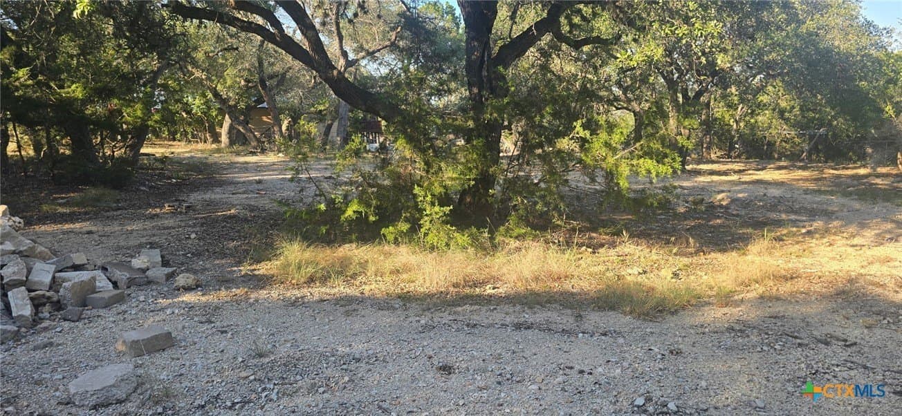0.23 acres in Comal County gallery image 2
