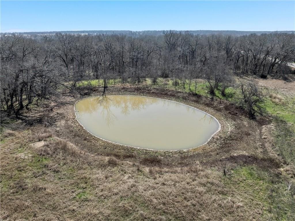 36.06 acres in Falls County gallery image 3