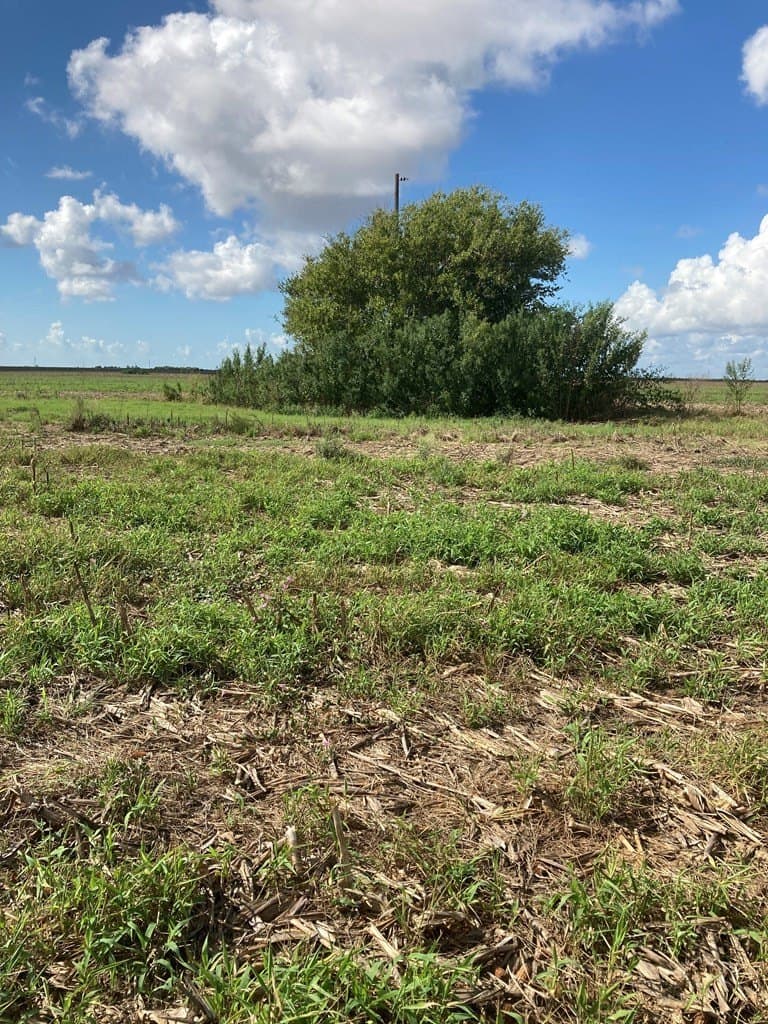 638.4 acres in Jackson County gallery image 3