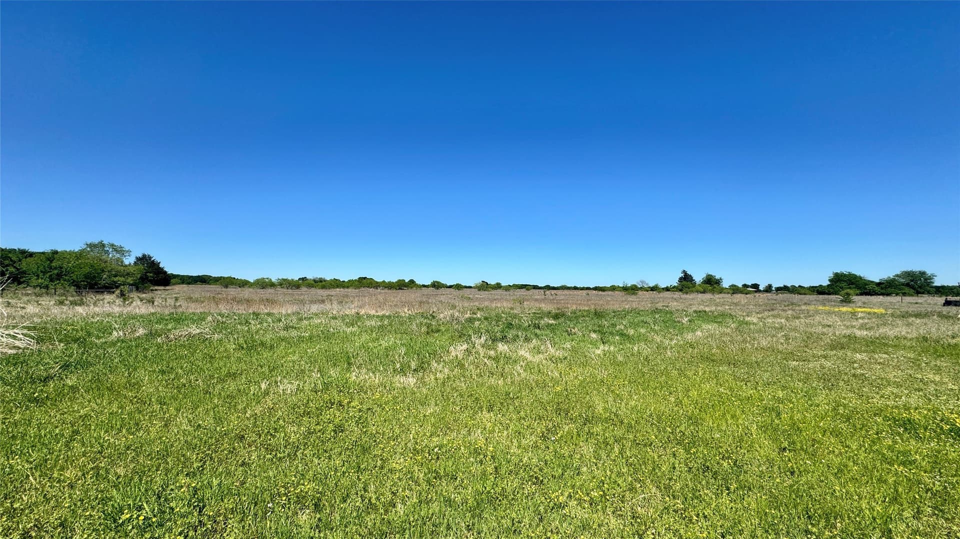 40.71 acres in Van Zandt County - photo 9