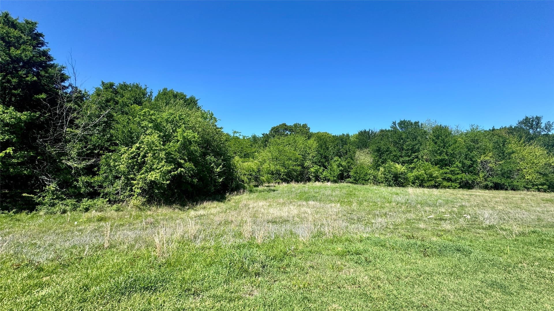 40.71 acres in Van Zandt County featured view