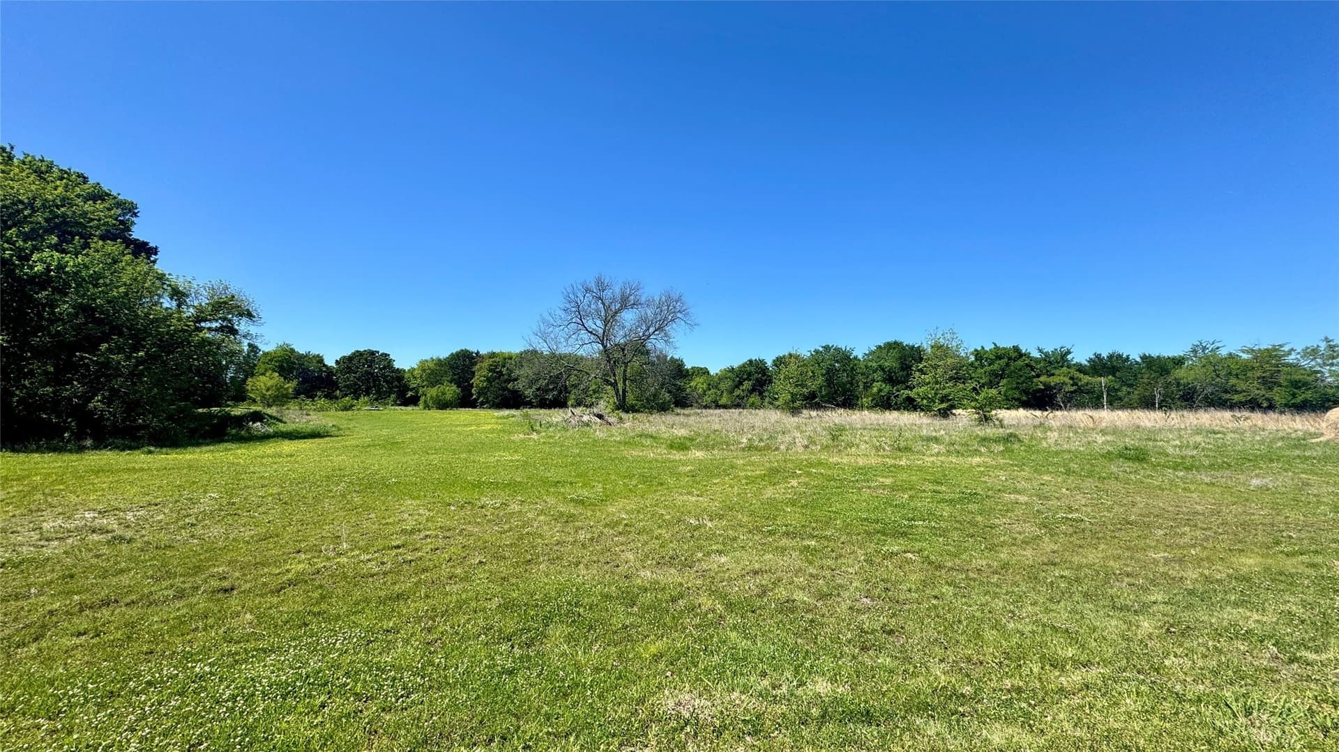 40.71 acres in Van Zandt County - photo 7
