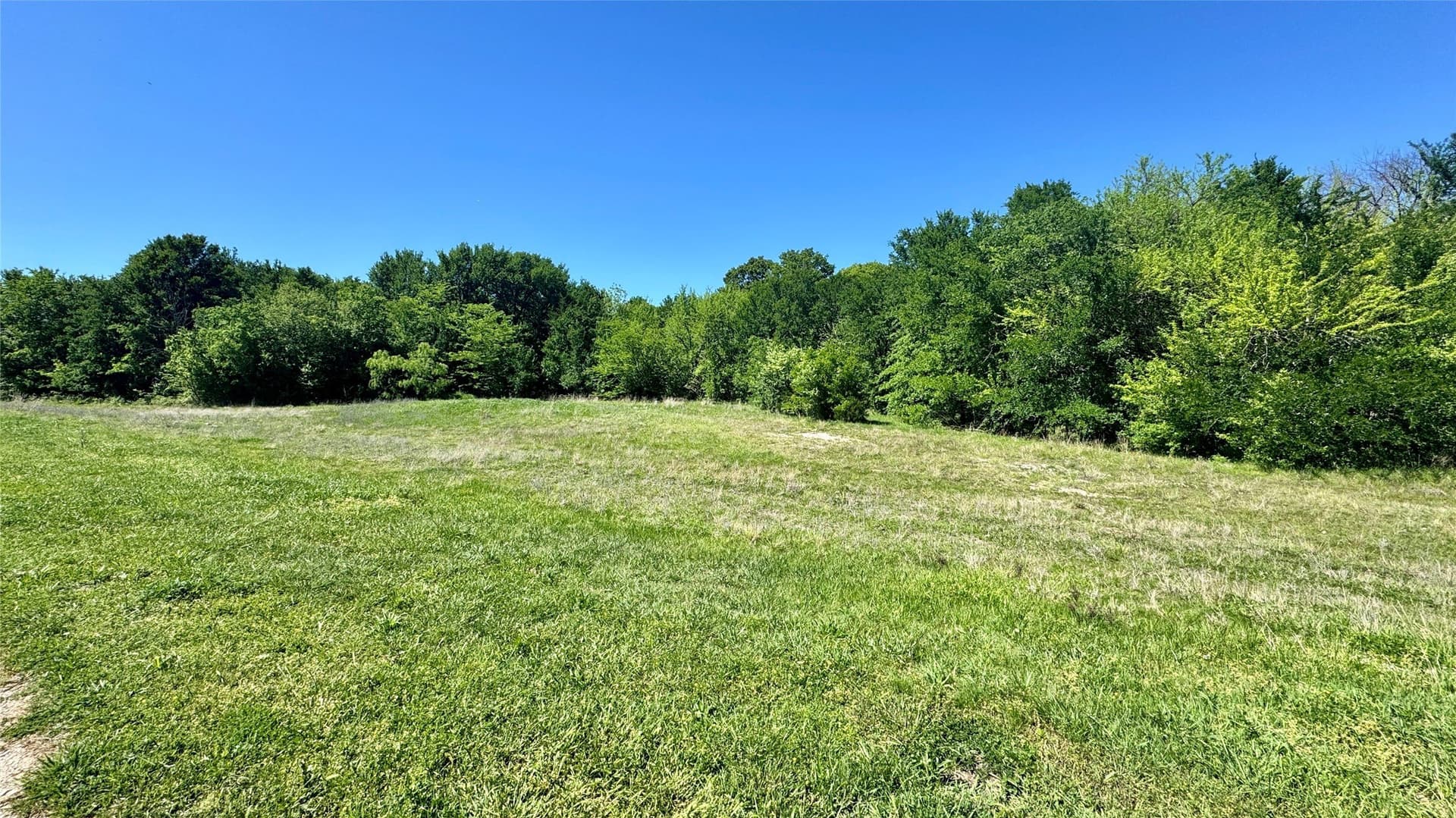 40.71 acres in Van Zandt County - photo 6