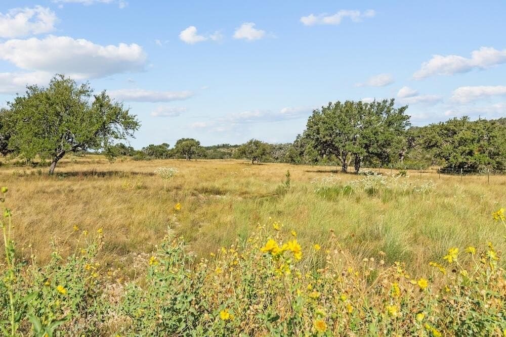 33 acres in Gillespie County - photo 98