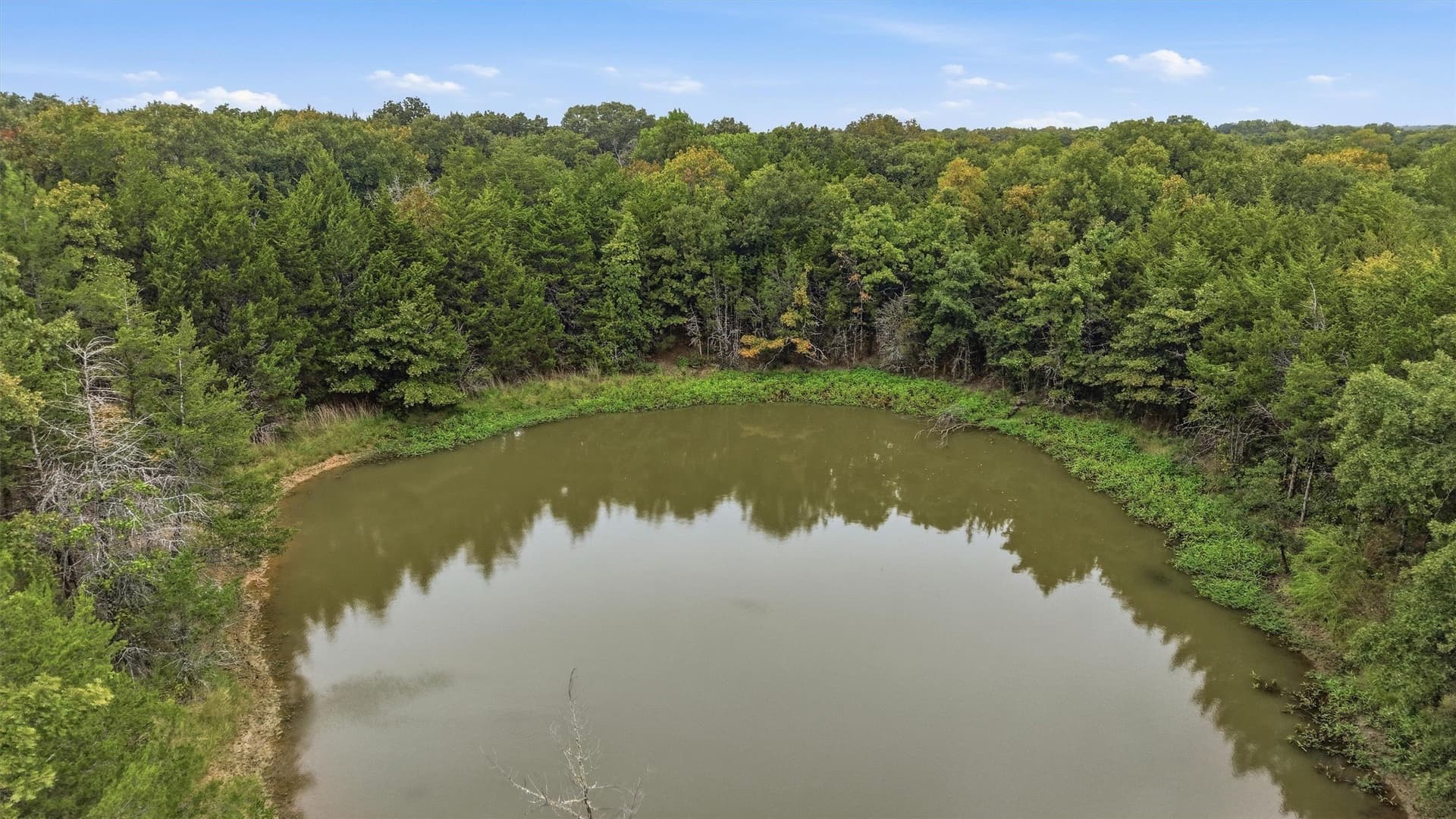 49.47 acres in Fannin County - photo 5