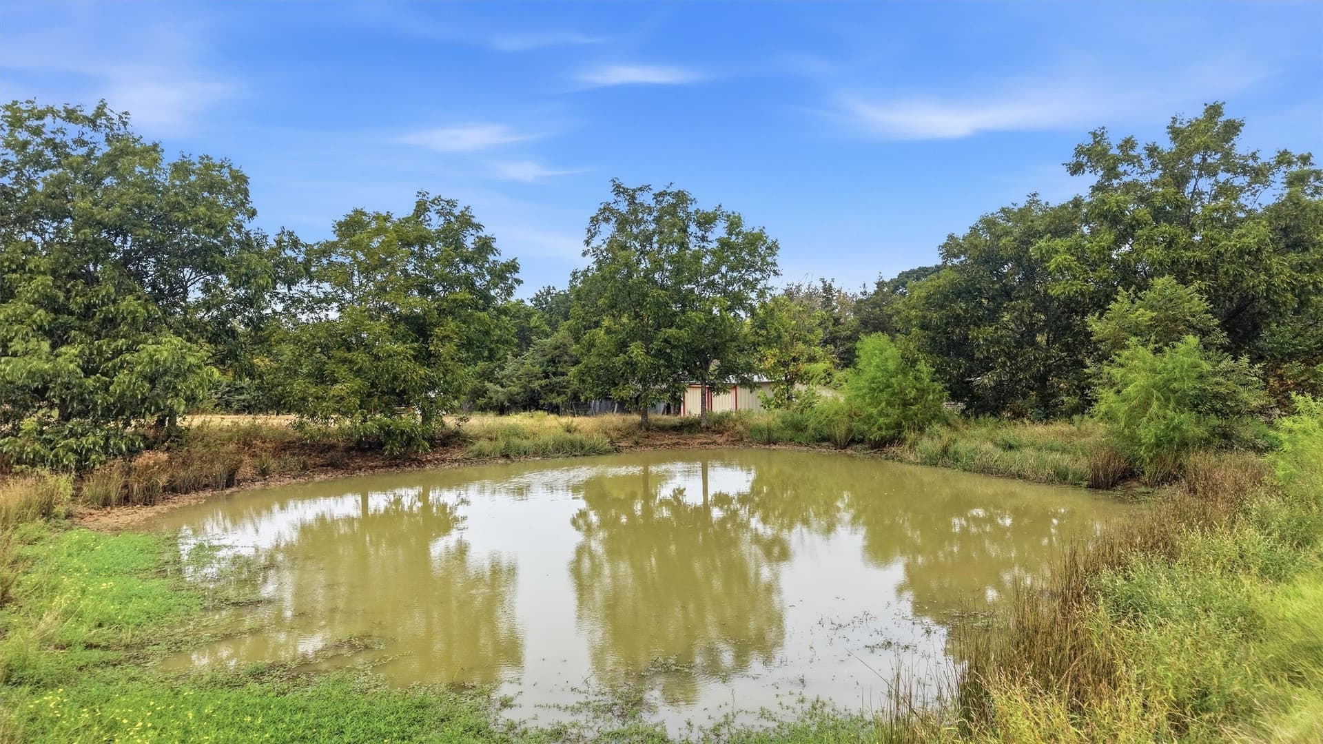 49.47 acres in Fannin County - photo 9